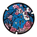 臺北蓋水